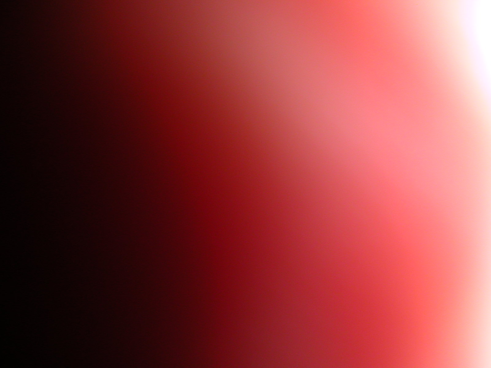 dscn0447