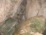 img 6064