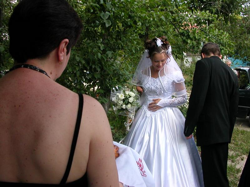 _dscn3127