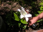 _dscn3462