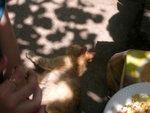 _dscn3472