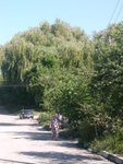 _dscn3513
