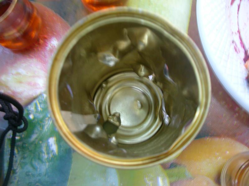 _dscn3531