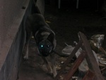 _dscn3537