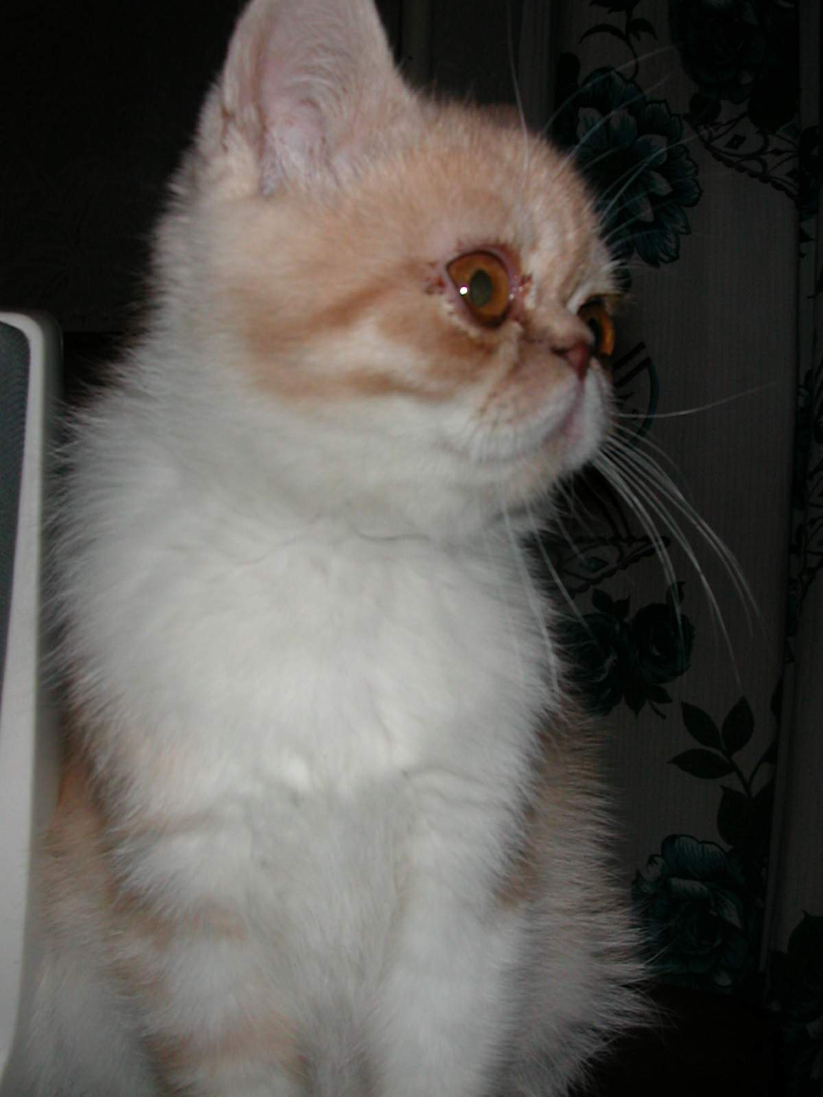 DSCN6820 2