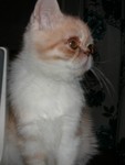 DSCN6820 2