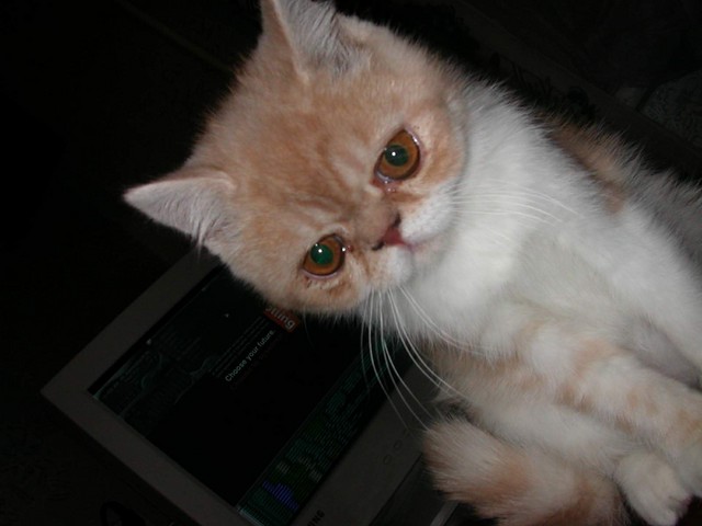 DSCN6821 2