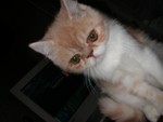 DSCN6821 2