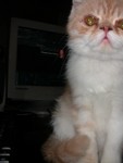DSCN6822 2