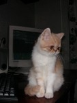 DSCN6823 2