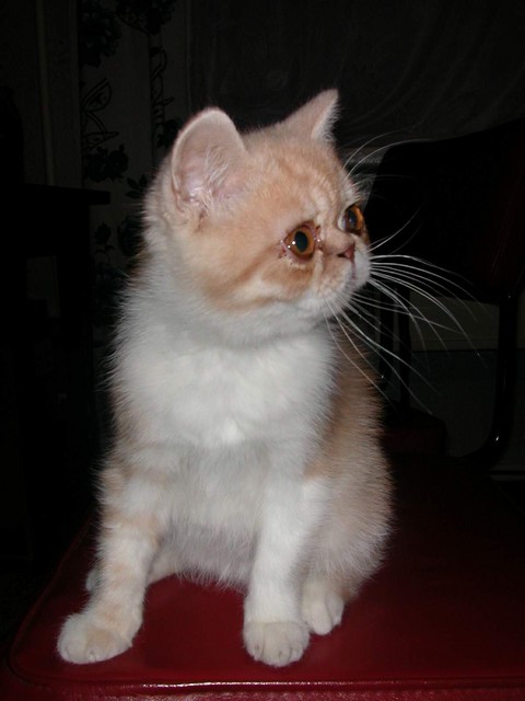 DSCN6826 2