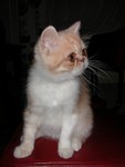 DSCN6826 2