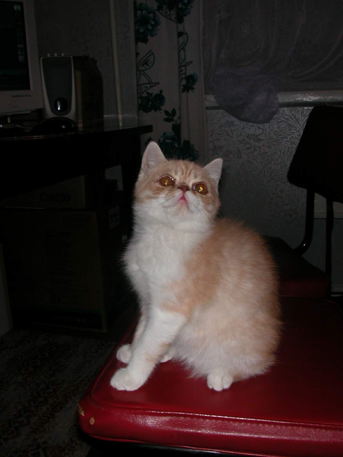 DSCN6827 2