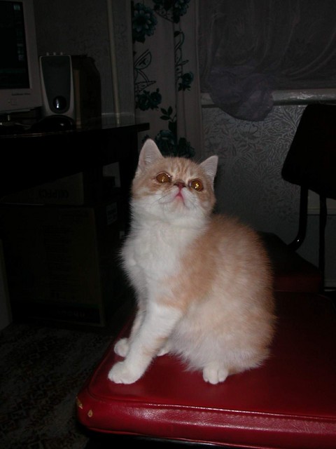 DSCN6827 2