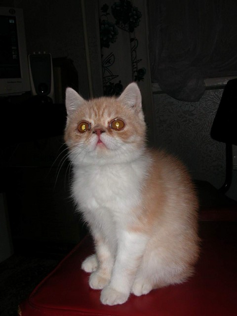 DSCN6828 2
