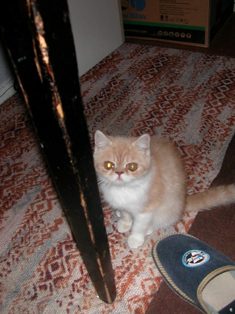DSCN6830 2