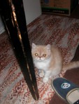 DSCN6830 2