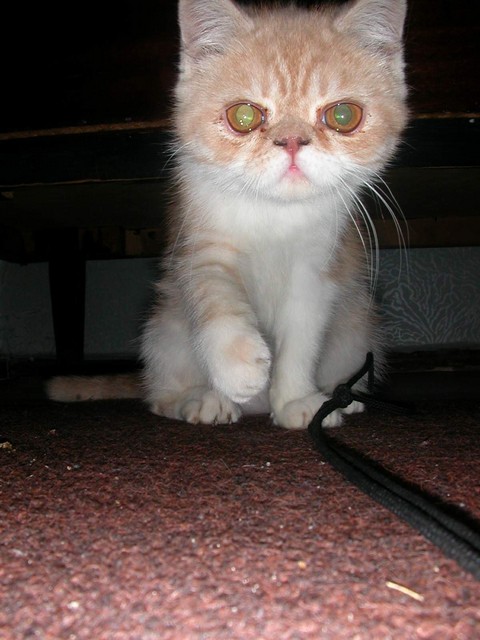 DSCN6834 2