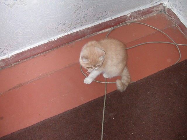 DSCN6835 2