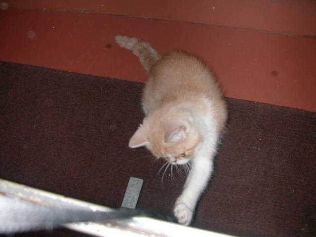 DSCN6836 2