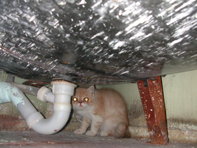 DSCN6842 2