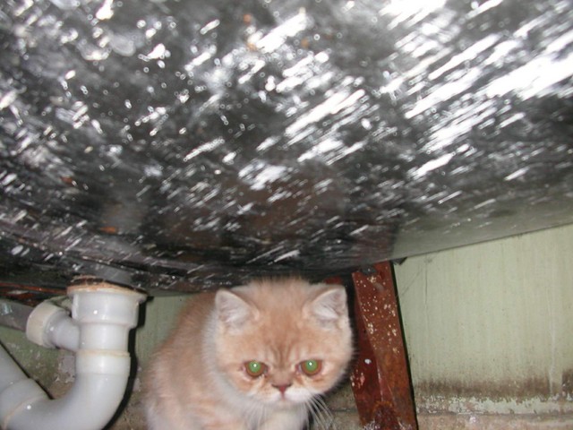 DSCN6843 2