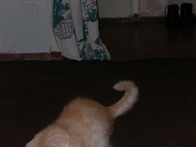 DSCN6845 2