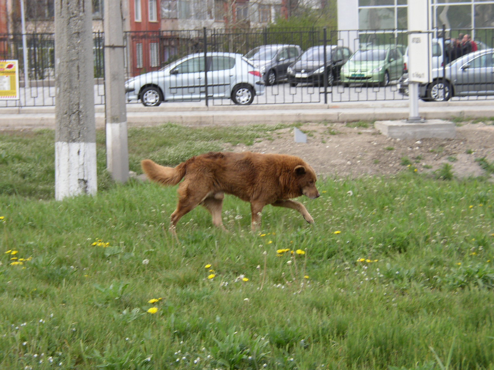 P1010092