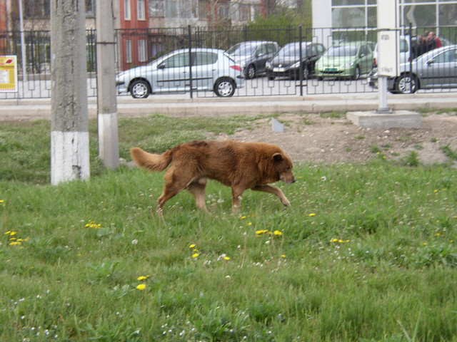 P1010092