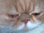 dscn2446