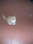 dscn2489