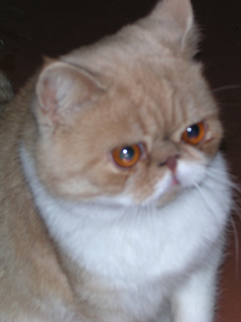 dscn2490