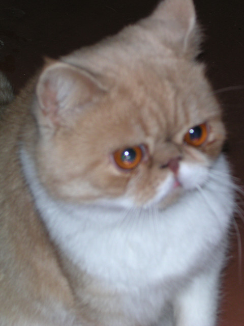 dscn2490
