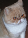 dscn2490