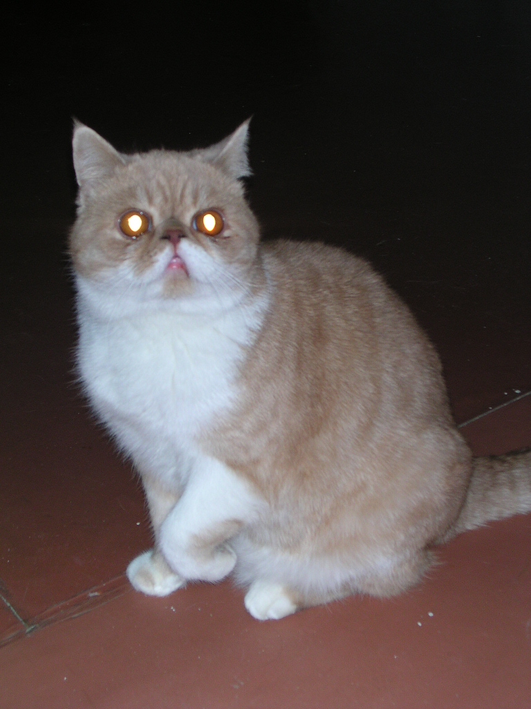 dscn2491