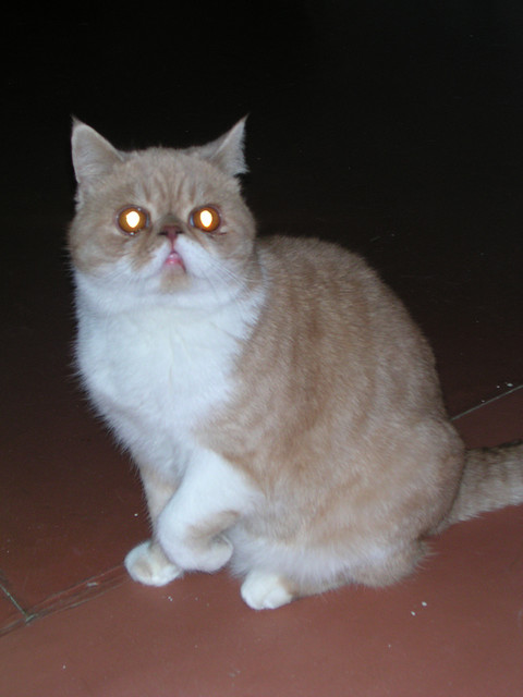 dscn2491
