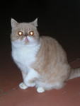 dscn2491