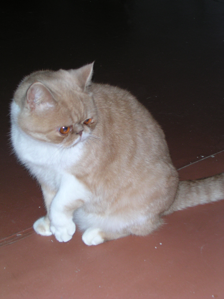 dscn2492