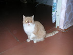 dscn2493