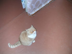 dscn2494