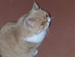 dscn2495
