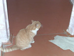 dscn2498