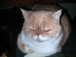 dscn2519