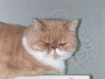 dscn2525