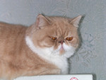 dscn2526