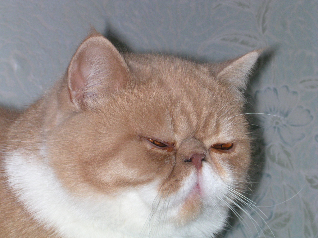 dscn2527