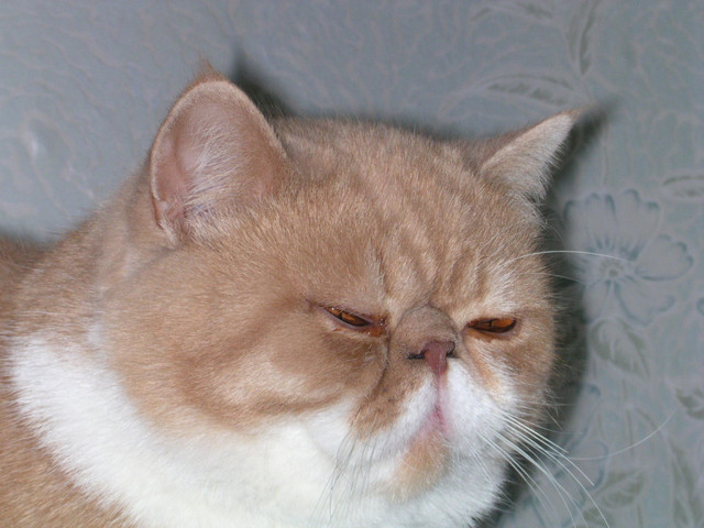 dscn2527