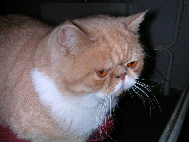 dscn2553