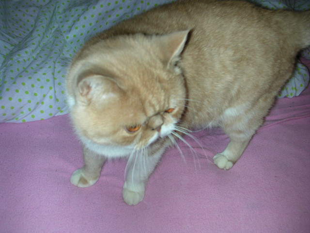 dscn2568
