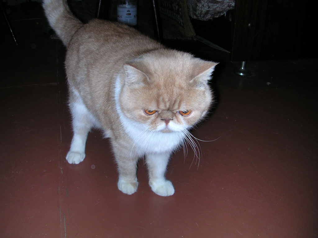 dscn2571